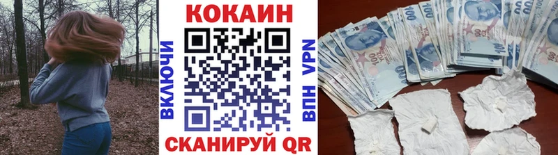 Cocaine Эквадор  Купить где  Шилка 
