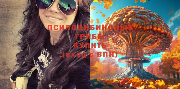 ALPHA PVP Киреевск