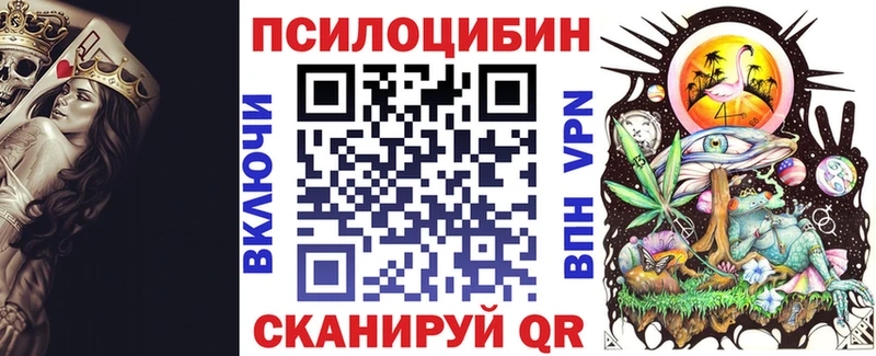Галлюциногенные грибы мицелий  Купить  Шилка 